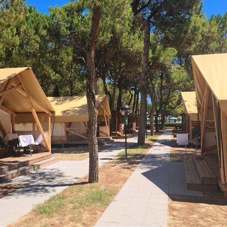 Small Camp Salinello Tortoreto Dış mekan fotoğraf